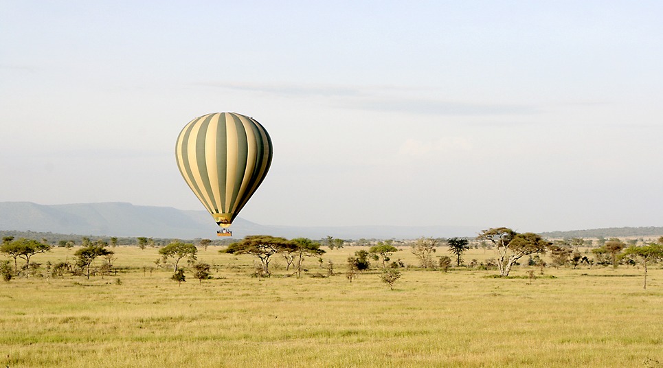 É possível observar os animais durante um passeio de balão na Tanzânia (foto: shutterstock)
