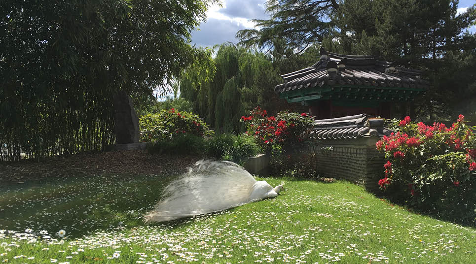 Jardin D'Aclimatation