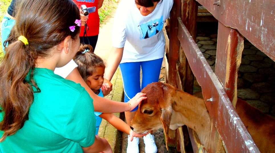 (Foto: divulgação)