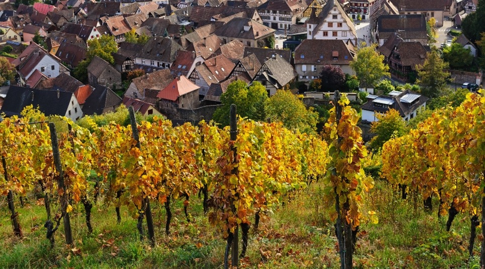 (Foto: shutterstock.com)