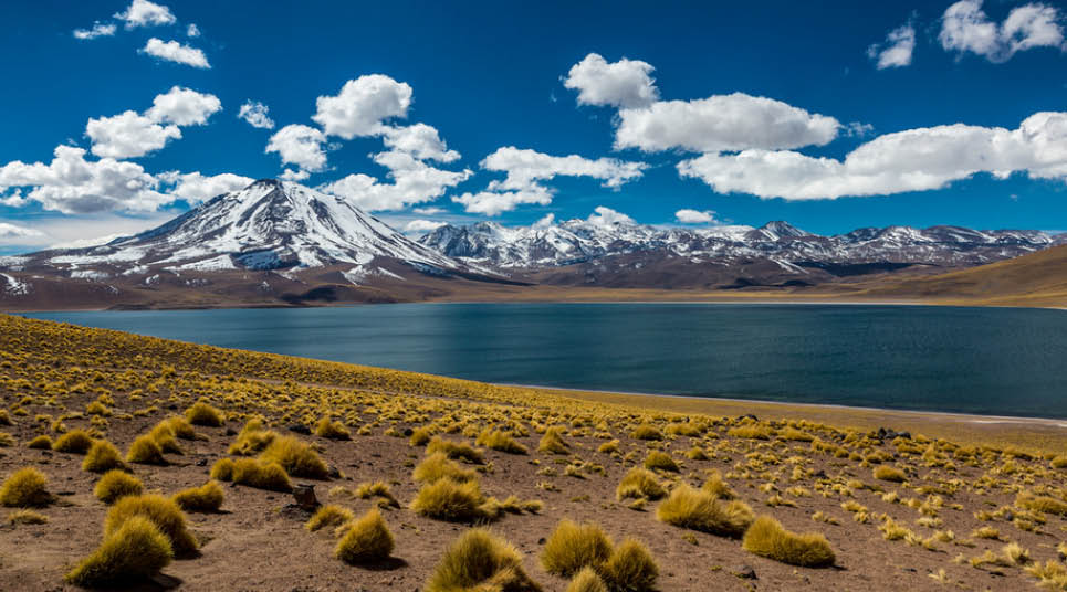 Lagunas Altiplânicas Miscanti e Meñiques