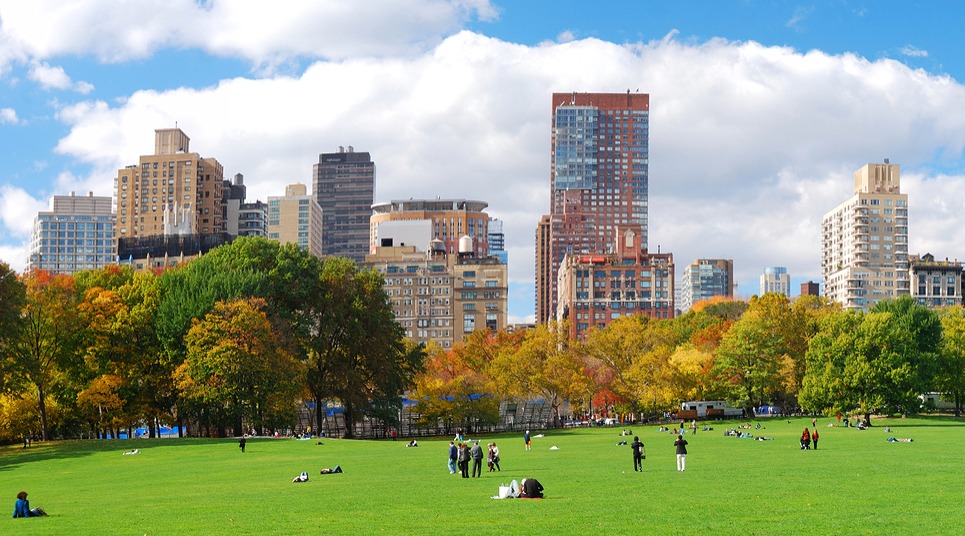 Central Park (Foto: shutterstock.com)
