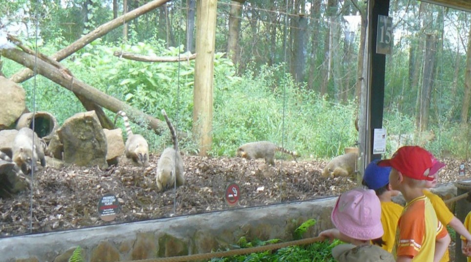 Gramado Zoo (Foto: divulgação)