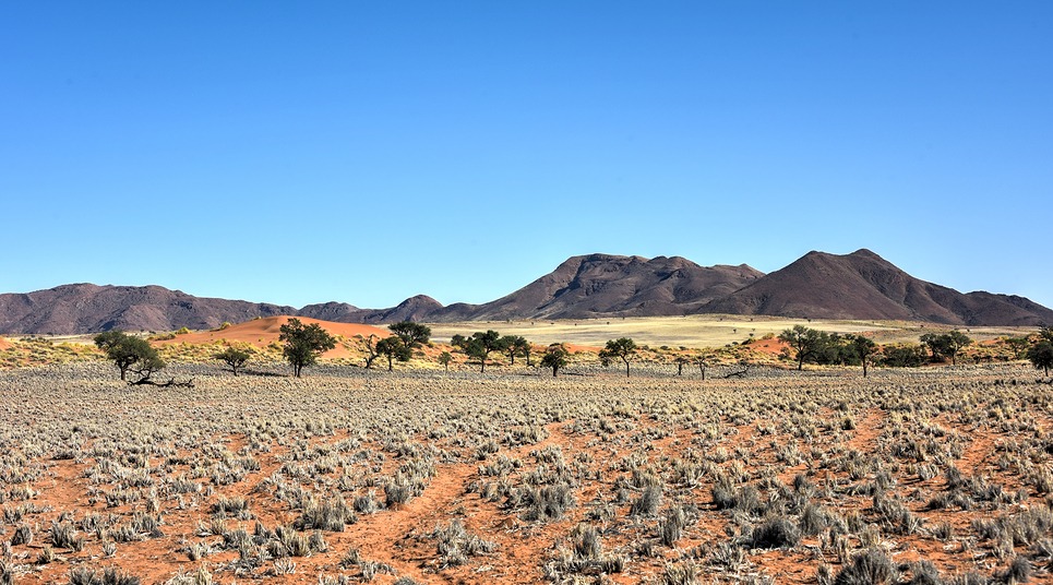 NamibRand (Foto: shutterstock.com)
