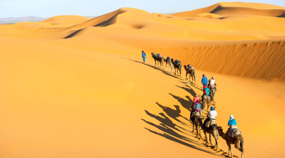No deserto do Saara, não deixe de aproveitar os principais passeios, como o de dromedário, por exemplo (foto: shutterstock)