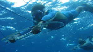 Mergulho em Noronha