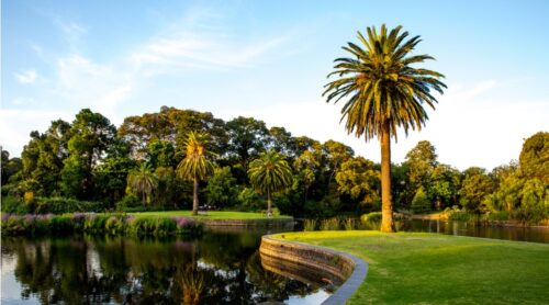 Jardins botânicos brasileiros: destinos ideais nesta primavera