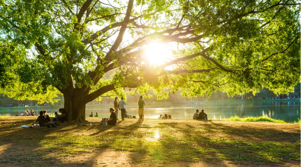 Parque Ibirapuera