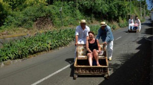 Carro de cesto