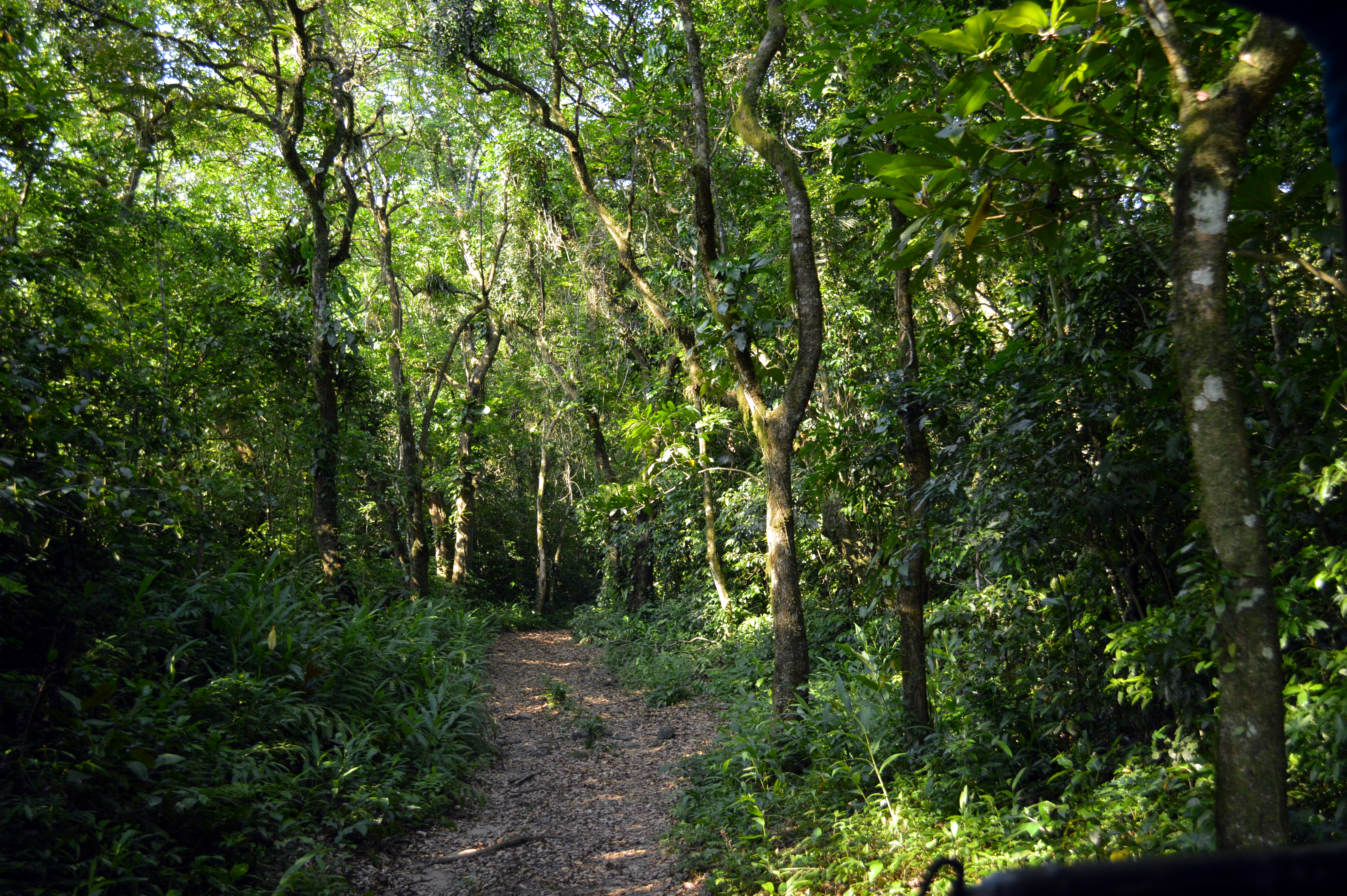 Trilhas Ecologicas