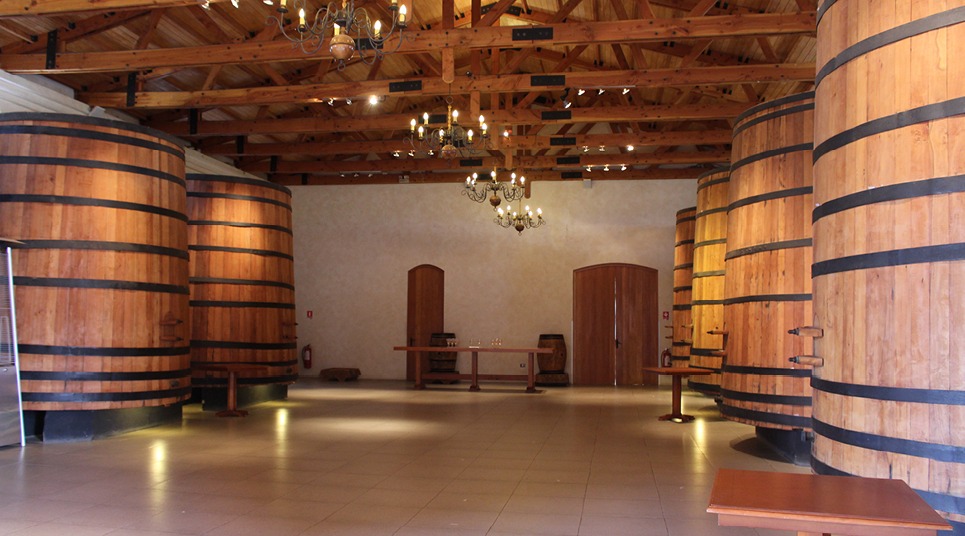 Em primeiro lugar, fizemos visitar guiadas pela vinícola El Cuadro, que passam pelo museu do vinho