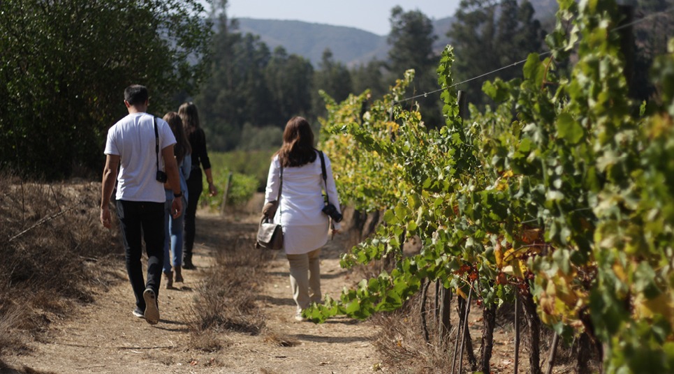 Enfim, a vinícola Catrala, que inclui uma curta trilha pelos bosques