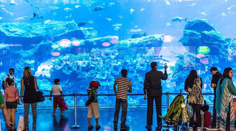 Aquário do Dubai Mall