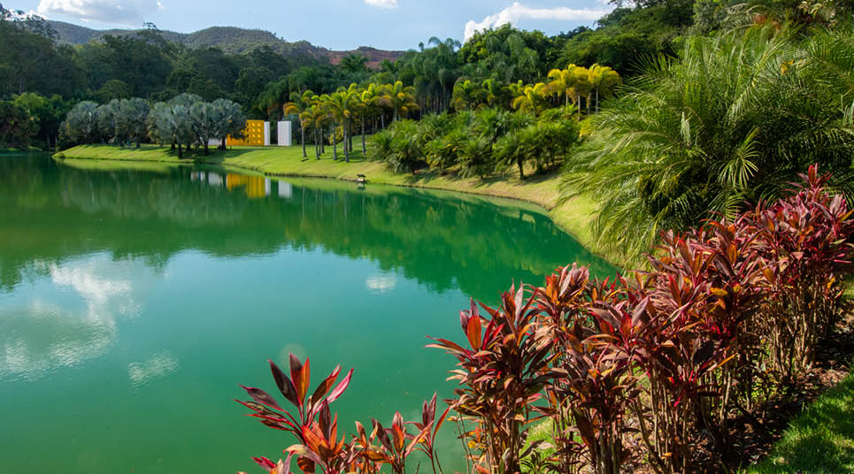 Jardim Botânico do Instituto Inhotim