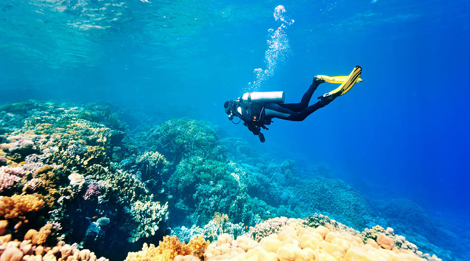 Guarujá aposta no mergulho recreativo com esculturas submersas