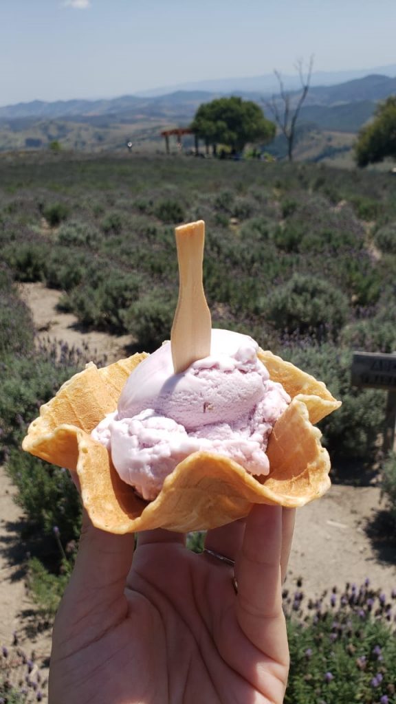 Vale a pena provar o sorvete de lavanda Sorvete de lavanda