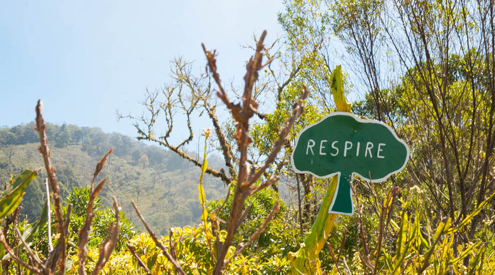 Plaquinhas divertidas e inspiracionais podem ser vistas ao longo do caminho Cunha