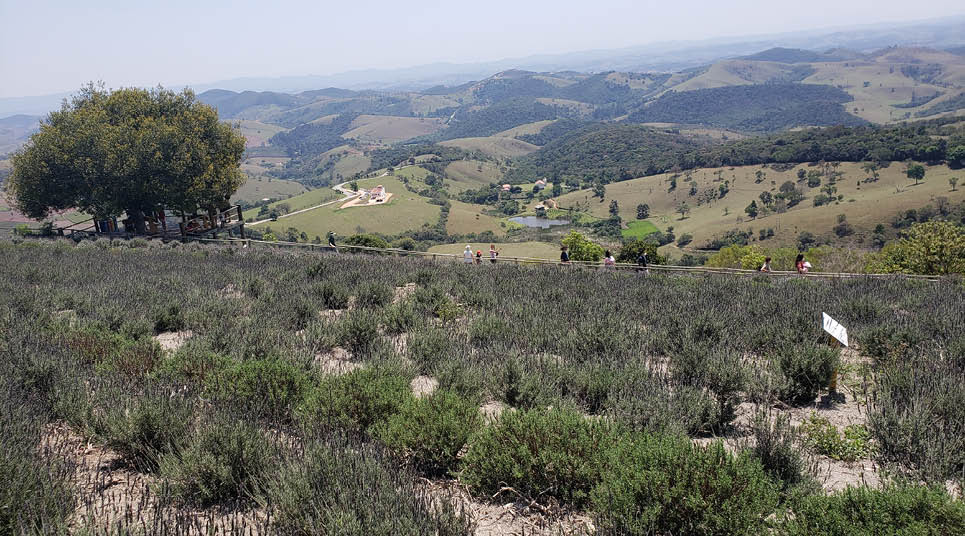 Aqui o contato com a natureza é intenso Área verde do Lavandário, em Cunha