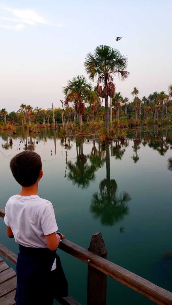 O local é o lar de araras canindé Lagoa das Araras