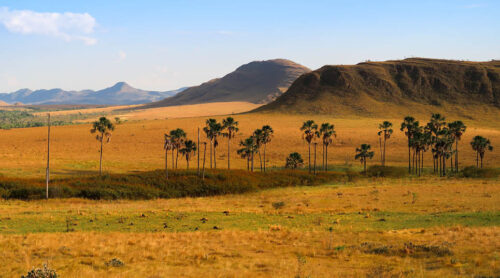 Chapada dos Veadeiros