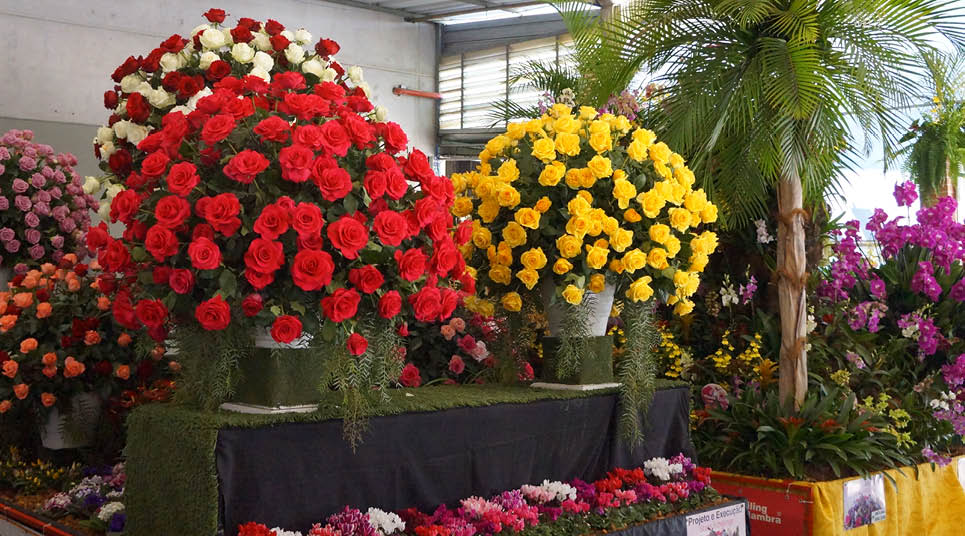 A Expoflora tem áreas dedicadas à exposição de arranjos florais Expoflora