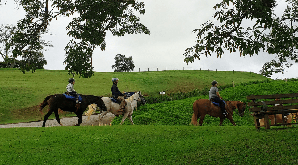 Passeios de cavalo e charrete são parte das atrações do Hotel Fazenda Dona Carolina (Foto/Tarcila Ferro)