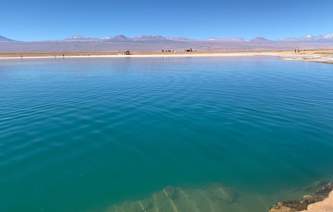 Laguna Cejar, Chile, Deserto de Atacama.