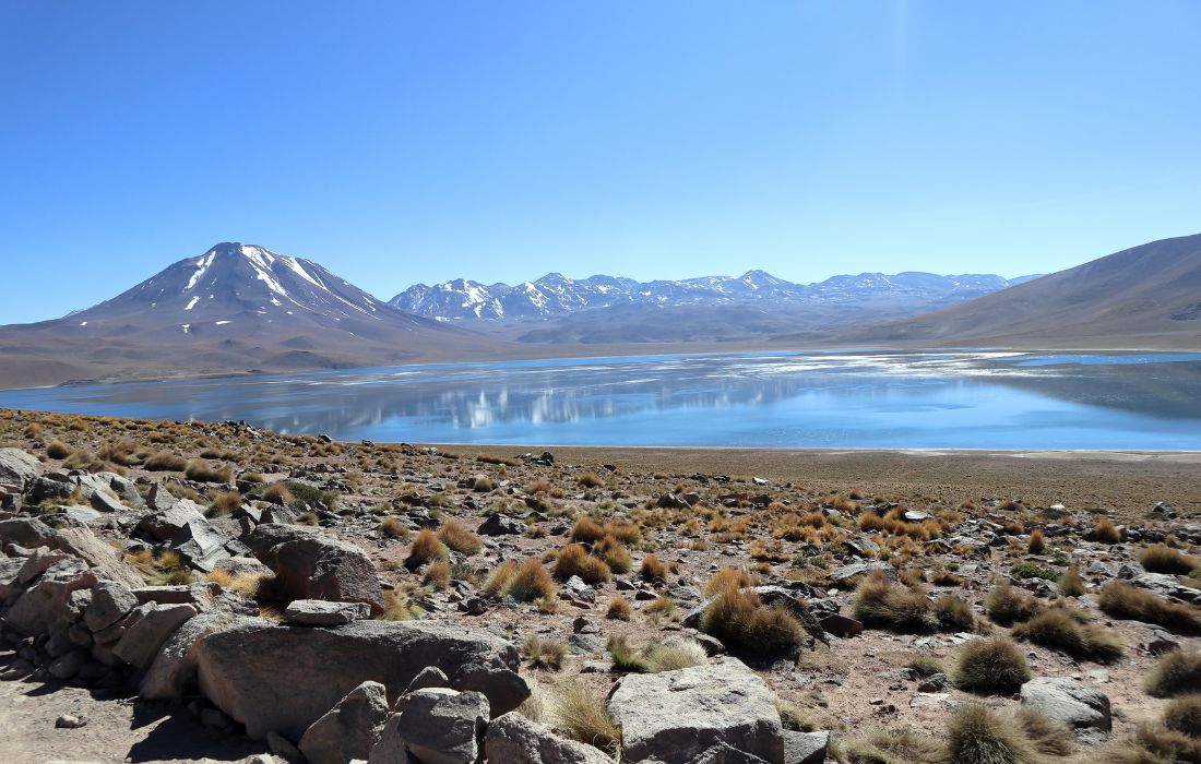 Lagunas Altiplânicas, Atacama.