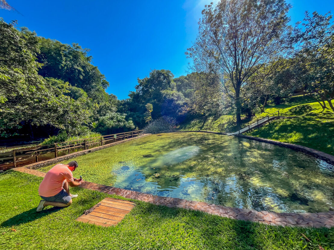 Piscina natural