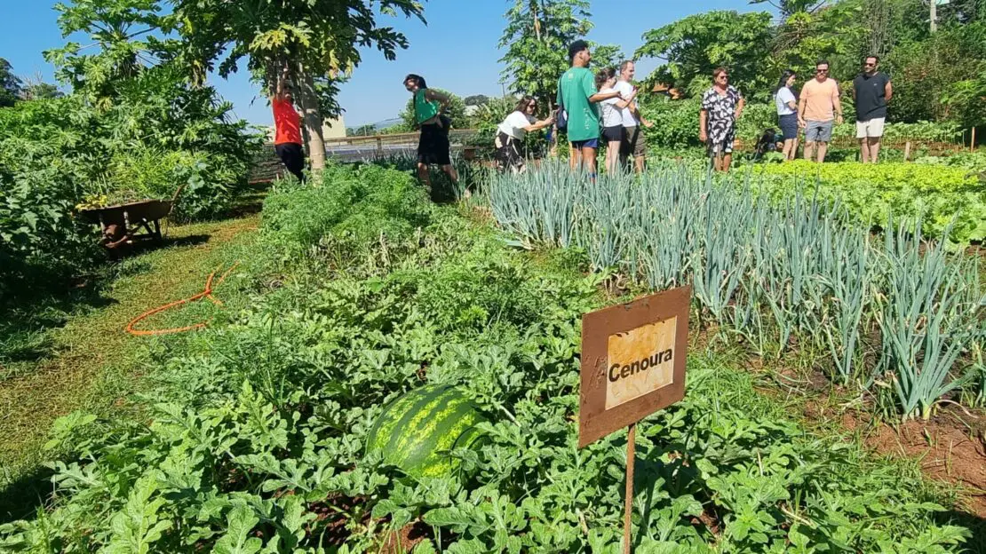 Horta da Fazenda Areia que Canta