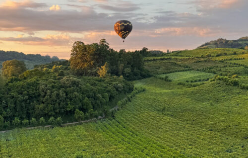 Vale dos vinhedos