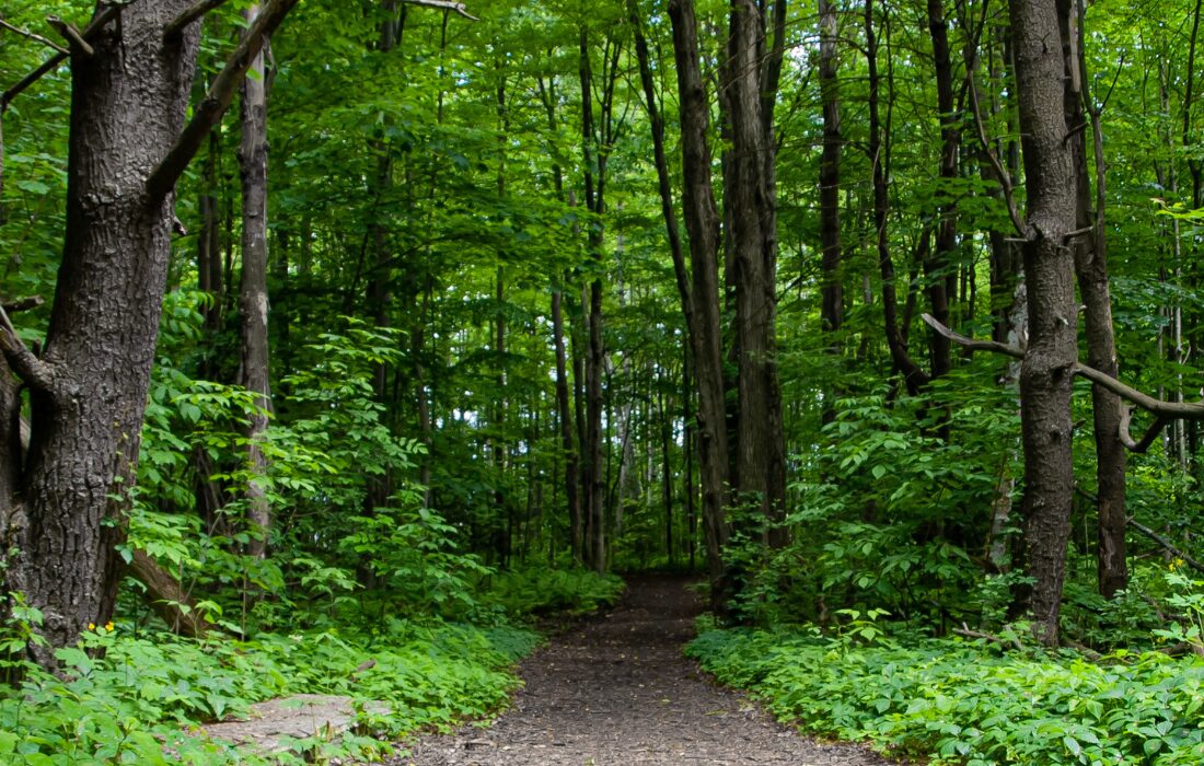 South Burlington está entre as cidades mais seguras do Estados Unidos