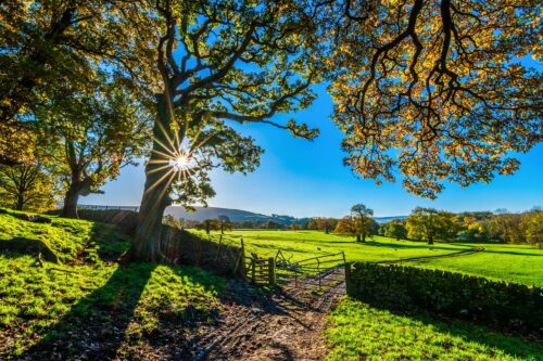 Férias de julho: 8 hotéis-fazenda incríveis para crianças!
