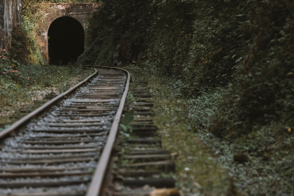 Expresso Mantiqueira: trem histórico volta aos trilhos