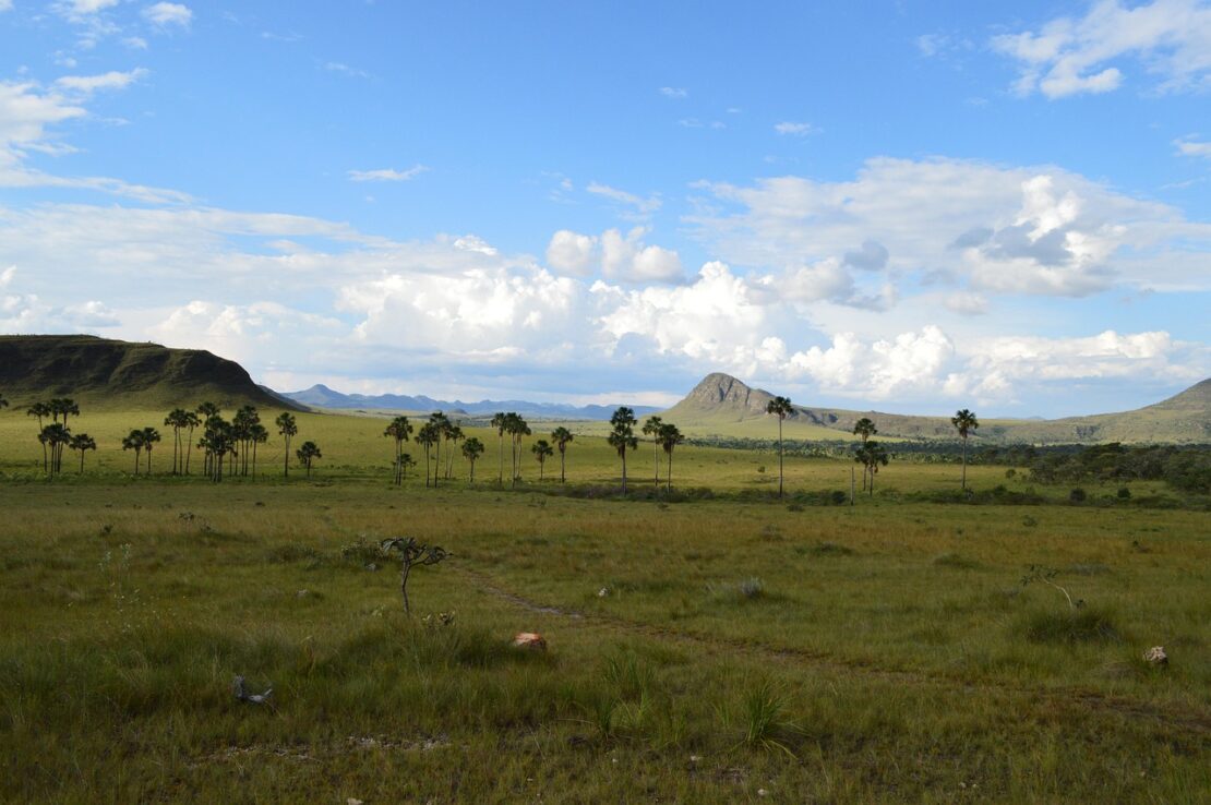 Parque Nacional da Chapada dos Veadeiros