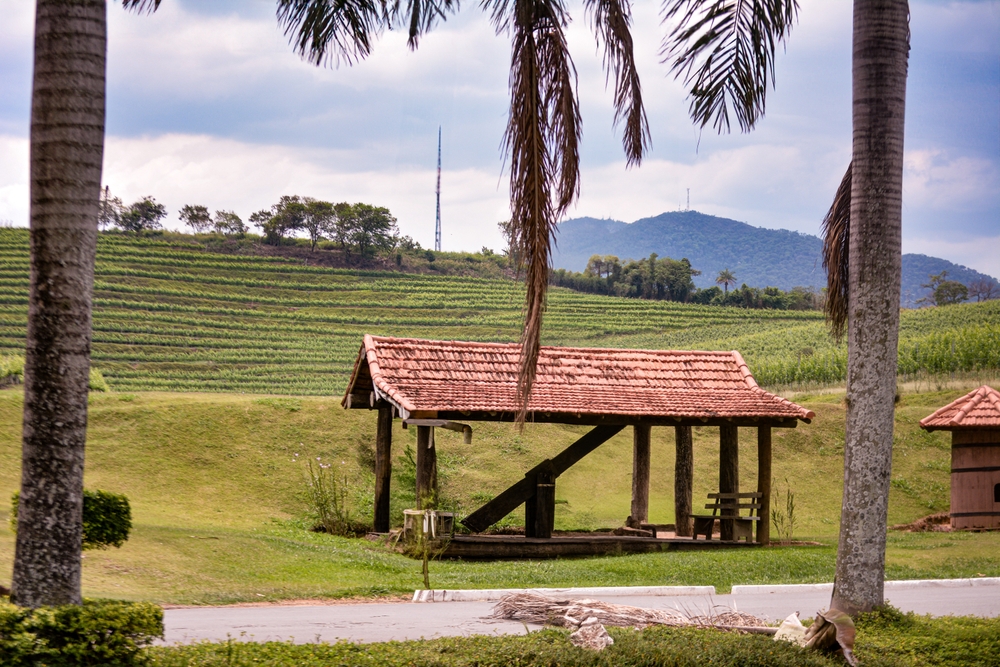 Região de Calda: Andradas MG