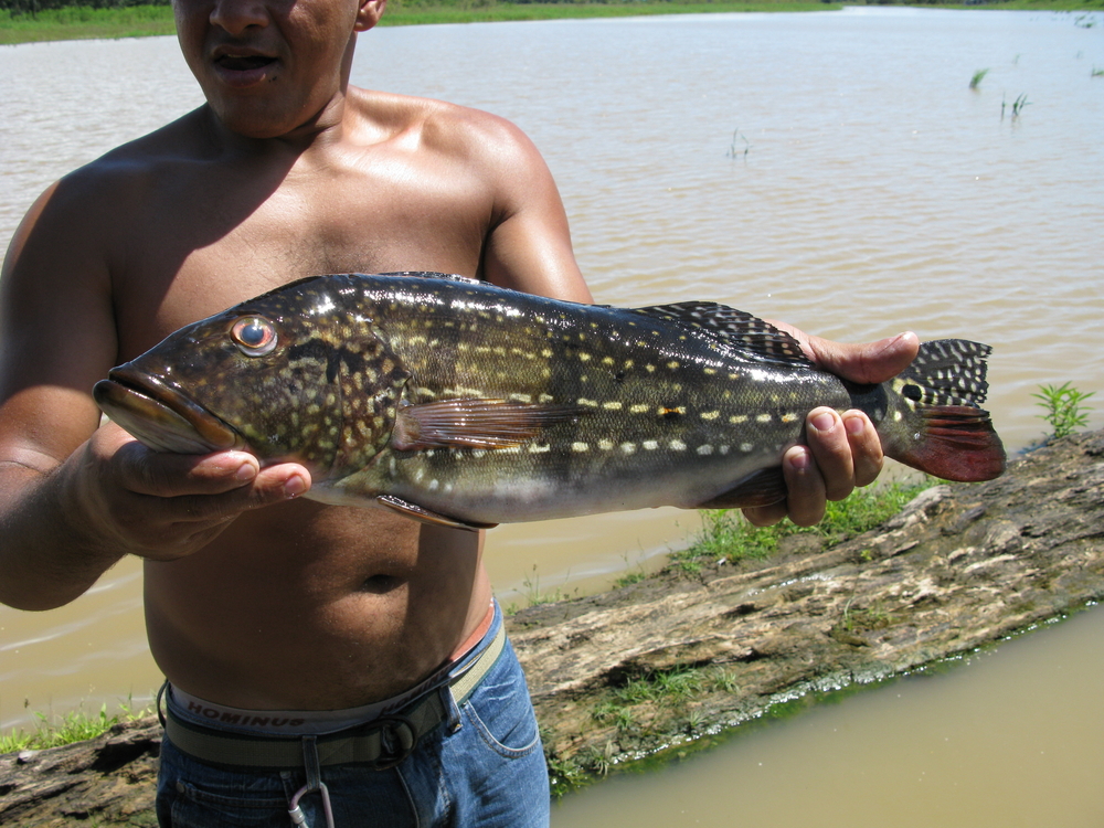 Pesca esportiva no Amazonas