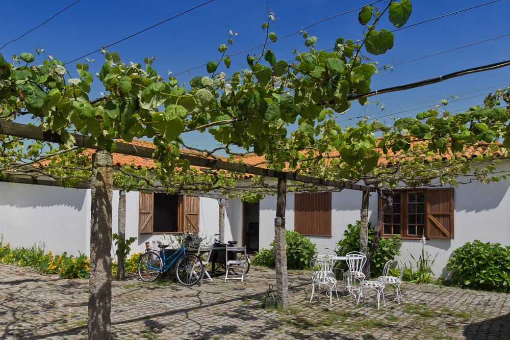 Capital Europeia do Vinho 2026