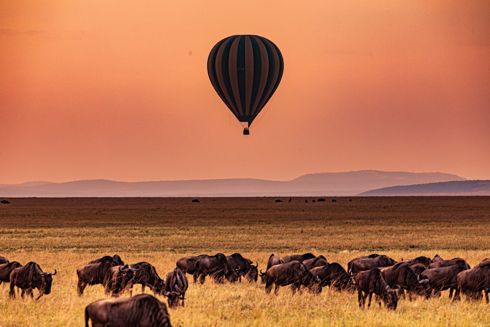 Ecoturismo na Reserva Nacional Maasai Mara no Quênia