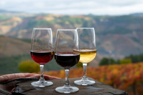 Baixo Alentejo conquista título Capital Europeia do Vinho 2026
