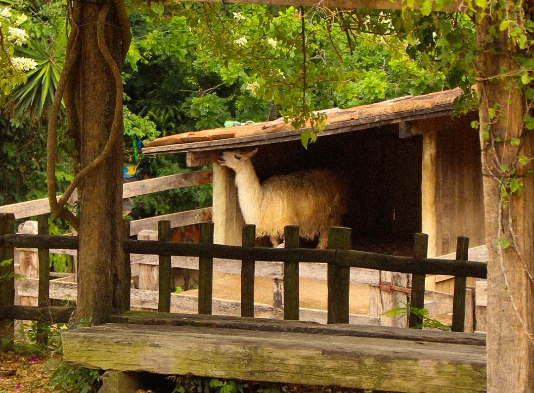 Fazenda do Chocolate em Itu