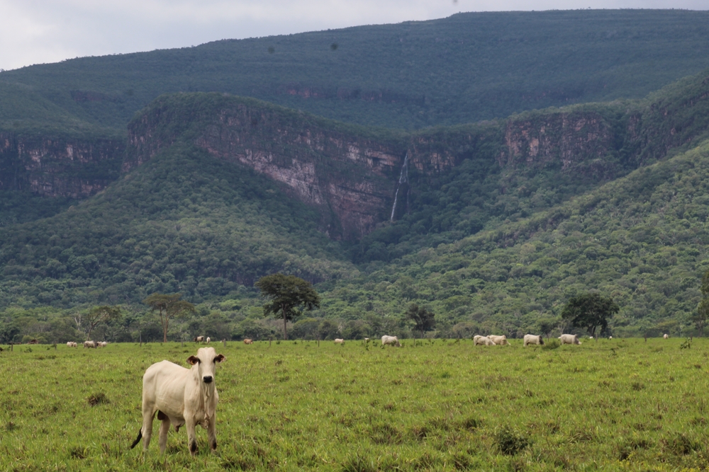 Parque Estadual Ricardo Franco , Mato Grosso
