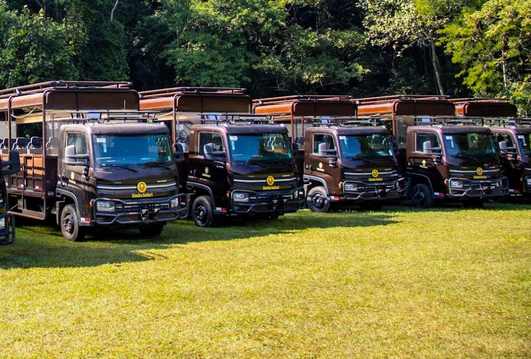 Simba Safari volta renovado com safári em caminhões