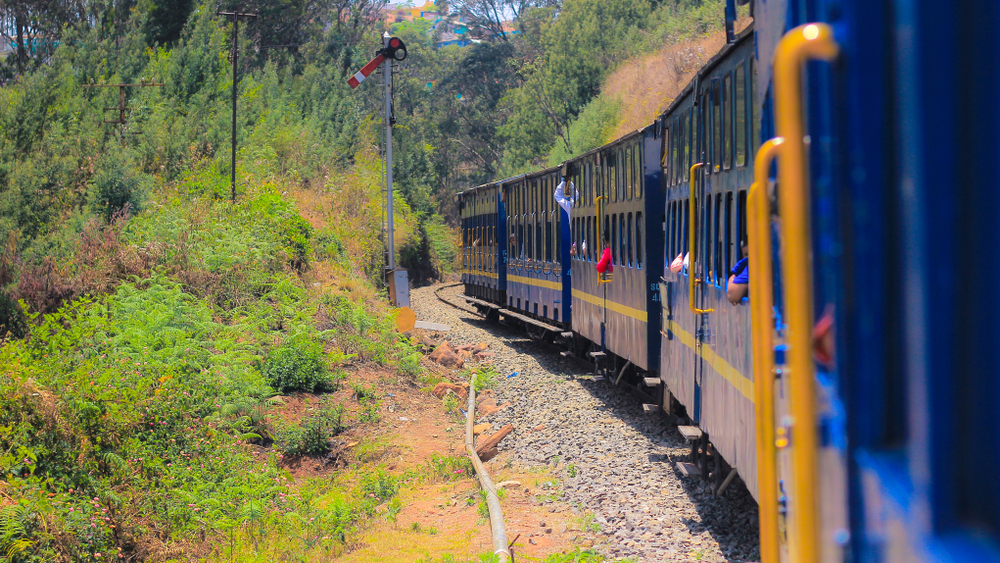Índia: viagem mágica a bordo do Trem de Brinquedo