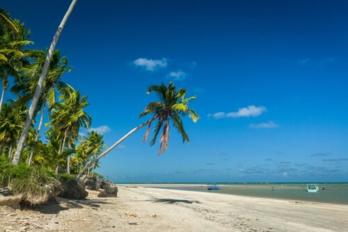 Nannai inaugura resort luxuoso em São Miguel dos Milagres