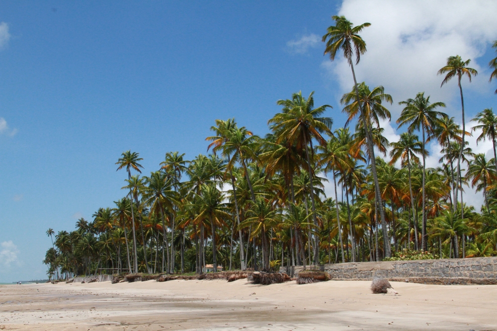 Praia do Patacho em São Miguel dos Milagres