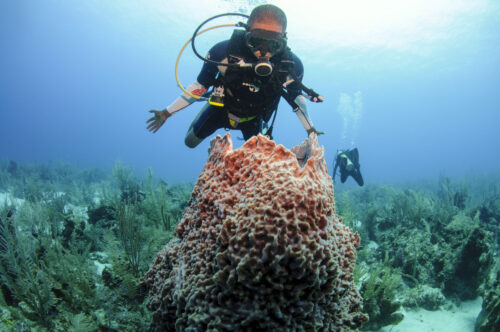 Beyond Blue Summit reúne mergulhadores em Belize