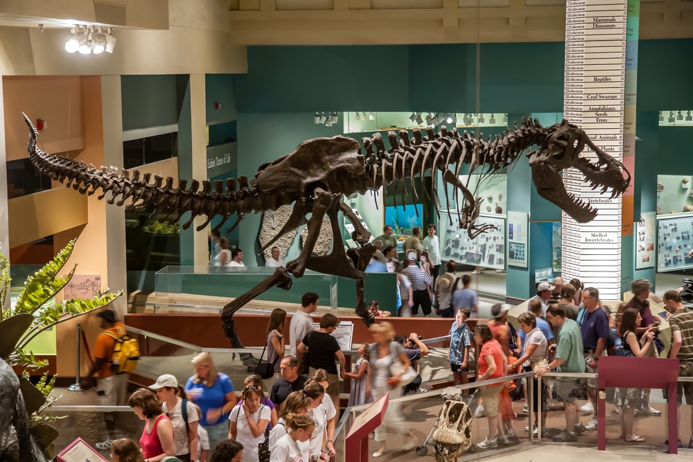 Smithsonian: Museu de História Natural 