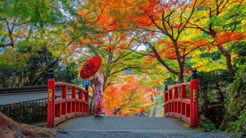 Japão lidera ranking de destinos mais desejados por brasileiros