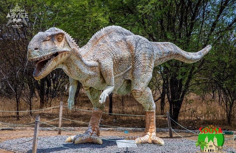 Conheça o Vale dos Dinossauros brasileiro em Sousa (PB)